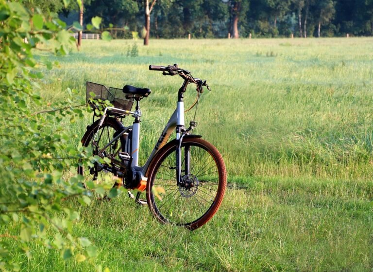 Battery-Powered Bikes Revolution