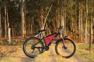 Optimizing Charging Cycles
