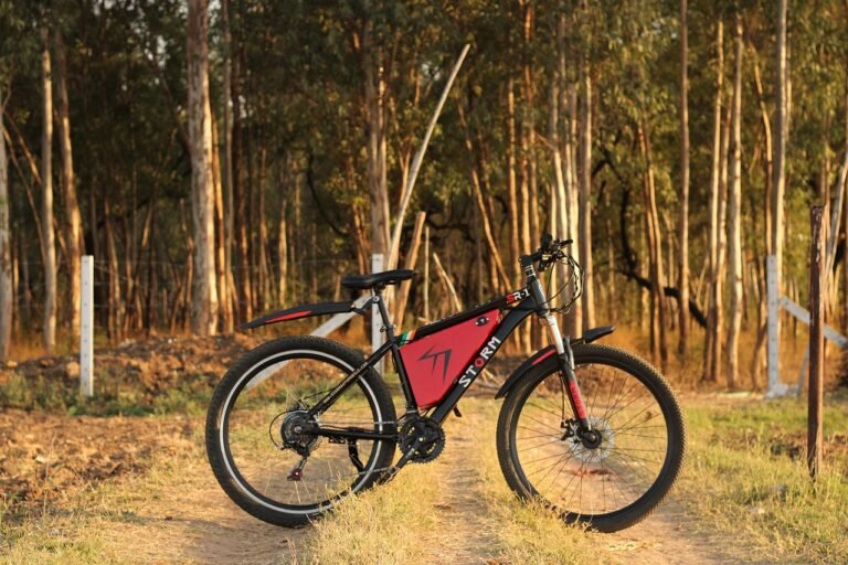 Foldable E-Bike Revolution