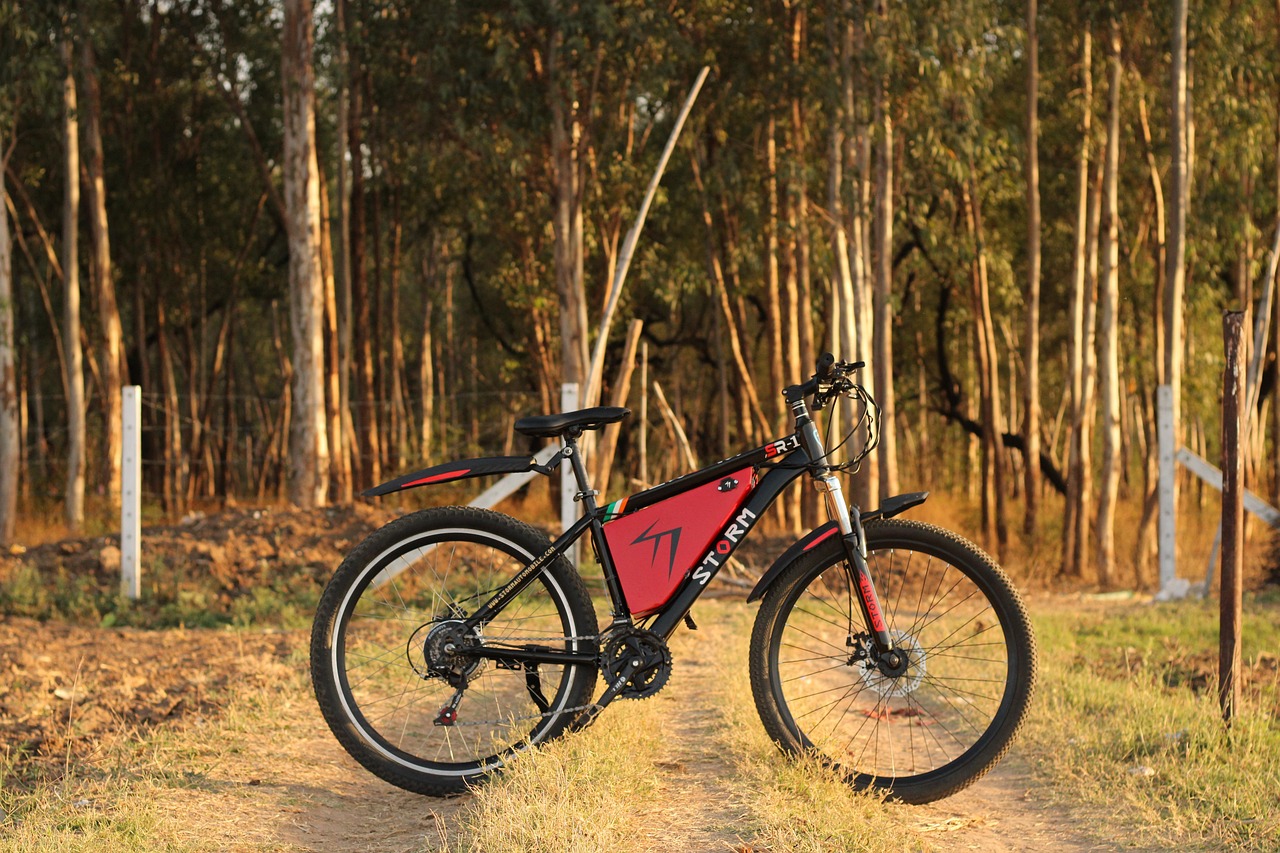 Foldable E-Bike Revolution