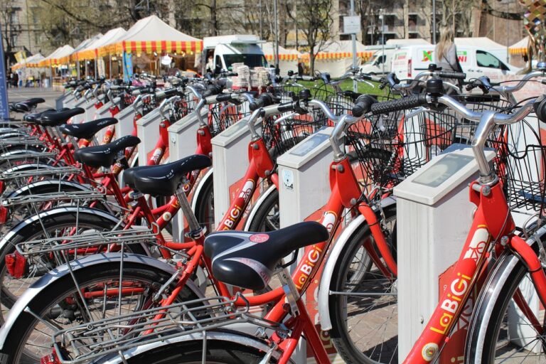 Sustainable Transport Steps