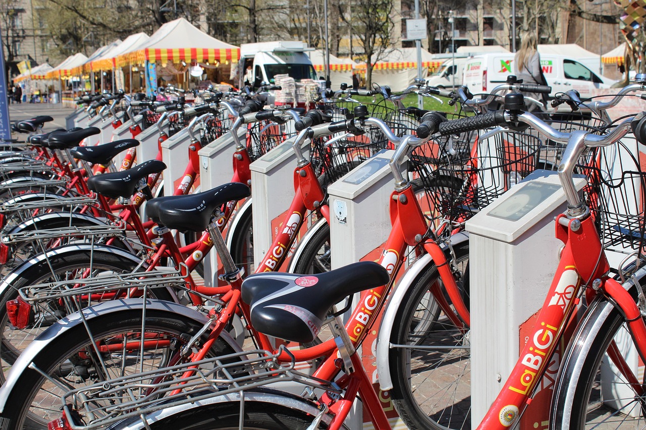 Sustainable Transport Steps