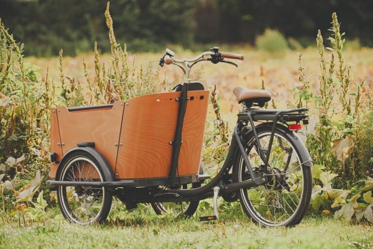 Eco-Friendly Transportation Tips