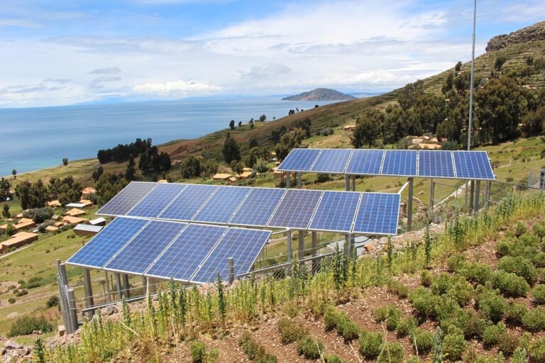 Zero Emissions: A Cleaner Future