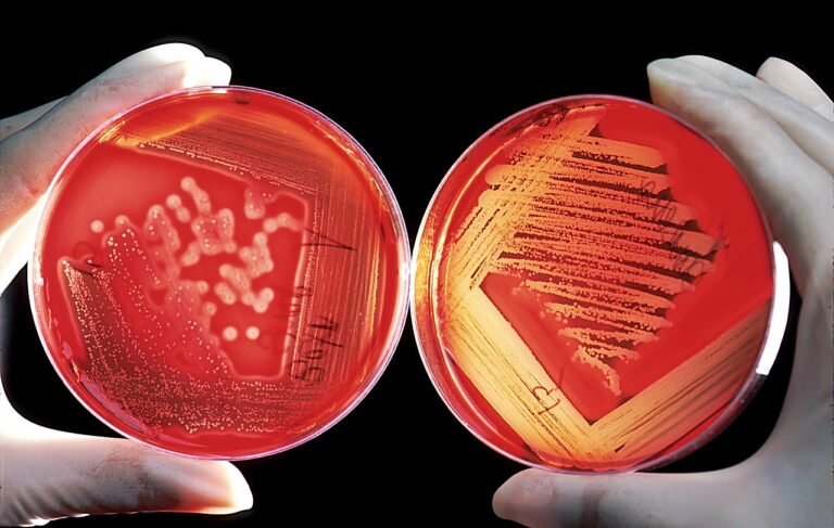 Cell Chemistry Myths Debunked