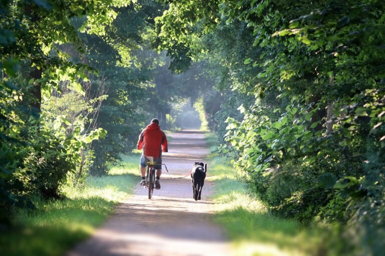 E-Bike Technology Advances