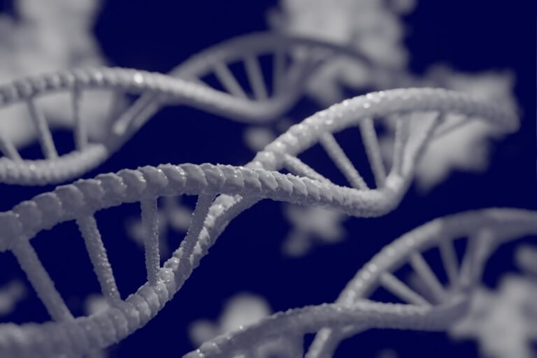 Cell Chemistry Updates for 2026
